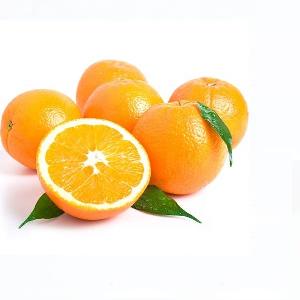 Top Quality Grade A Fresh Citrus Fruits