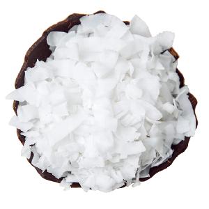 High Quality coconut chips best prices