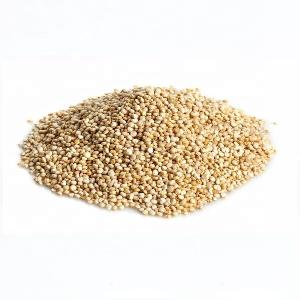 High Quality Organic white Quinoa