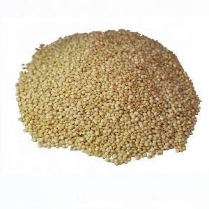 Bulk Supply Organic White Quinoa