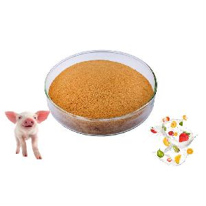 Injectable amino acids