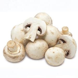 Wholesale price dried champignon mushroom