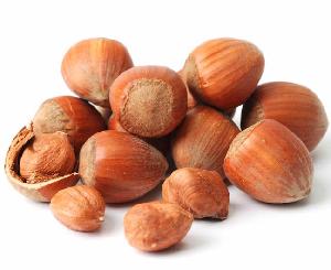 Hazelnuts in shell, nuts in shell, organic nuts