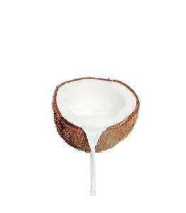 Natural Bulk Organic Coconut Milk Powder