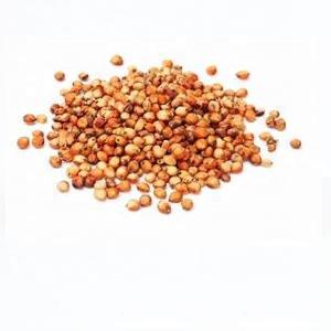 Fresh Red  Sorghum   Grain  Seeds in Bulk Available