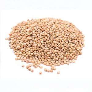 Sorghum Millet / Sorghum Flour /  Sorghum red