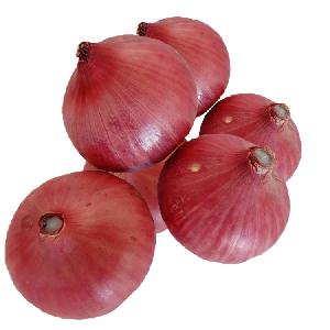 Premium Wholesale  Fresh Red Onion For Sale