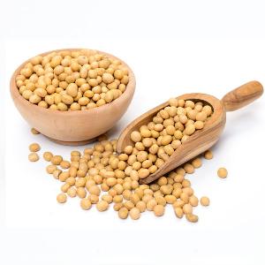 soy milk powder
