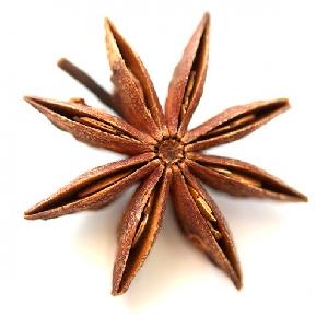 Organic hand select star anise / hight quality star aniseed