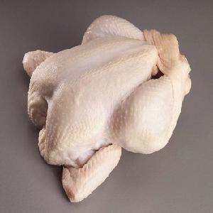 High Quality Fresh Frozen Duck Breast