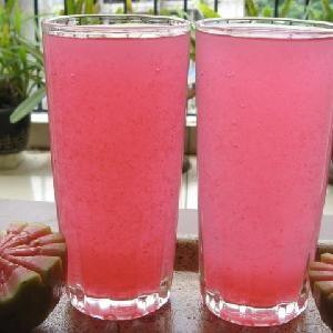Guava Fruit Juice manufacturer s