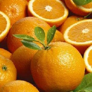 Best Quality Best Price Fresh Valencia Orange