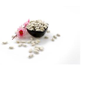 2017 New crops good price Hps medium white kidney bean for sale