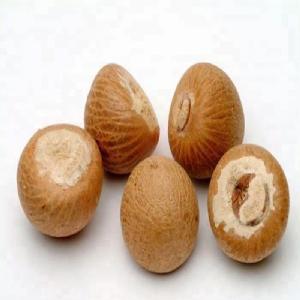 Dried Betel Nut from Vietnam Product - High Quality - Best Price