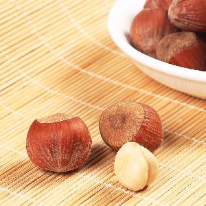 Nuts in shell roasted hazelnuts for sale