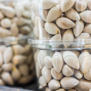 Best Quality Ginkgo Nuts For Sale