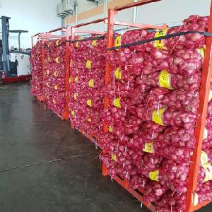 High Quality Onion/Fresh Red/Yellow and White Onion