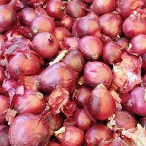 Best Quality Fresh Red, Yellow and White Onions for Sale