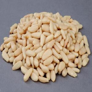 selling pine  nuts  good quality  nuts  packaging wholesale  nuts 