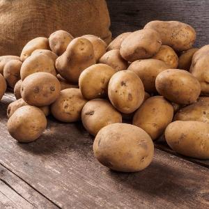  Fresh / Dry   Potatoes
