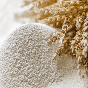 TURKISH  WHEAT   FLOUR  FOR MAKING BREAD/Quality Whole  Wheat   Flour   Price 