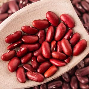 High quality  British  Dark  Red   Kidney  Bean