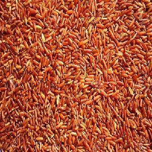 Philippines Wild Red Rice,Philippines Philippines Wild Red Rice price ...