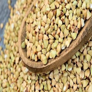  buckwheat  kernel from China