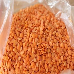  Red   Lentils  -  Split  and Whole -  Turkish  Quality