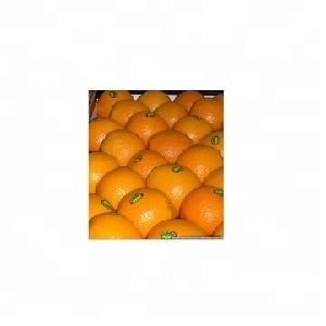 SGS Certified Fresh Naval Organges Fresh Valencia Oranges