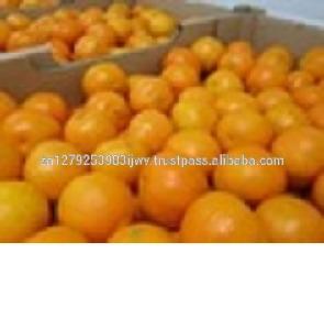 Fresh Navel oranges,Fresh Lemons,Fresh Mandarins