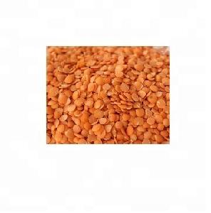 Lentils/Red Lentils, Red Whole Lentils, Red Split Lentils
