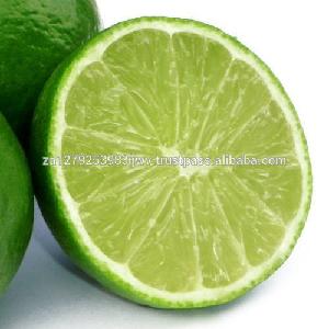 Fresh Green Lime,Fresh Seedless Lime ,FRESH GREEN SEEDLESS LIME