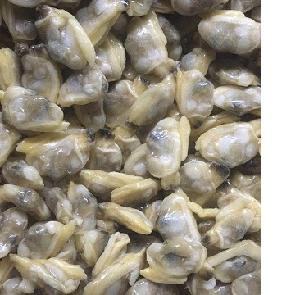 Frozen clam meat freezing clam meat,Boiled Yellow Clam Meat,Frozen Yellow Clam Meat