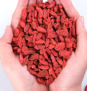 dried goji berry  for sale