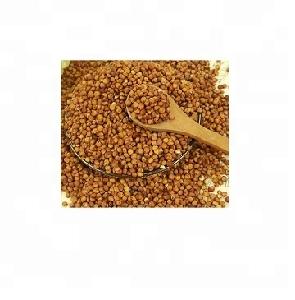 Sorghum Seed,red sorghum grain seed, white sorghum seeds