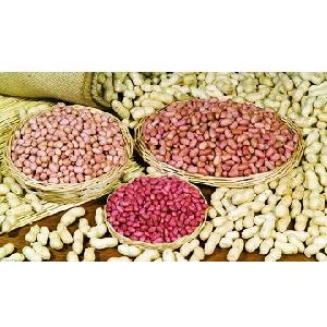 Ground Nut red skin Peanut,Raw Shelled Peanut,Fresh Peanuts