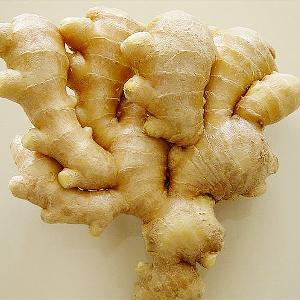 New Crop Fresh Ginger made from factory