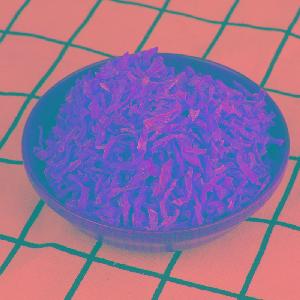 Dehydrated Diced carrot sticks  made by factory best price