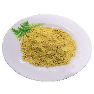 Factory Supply Pure Dried Ginger Extract Powder( Water Soluble) Gingerols /  Zingiber   Officinale  Extract