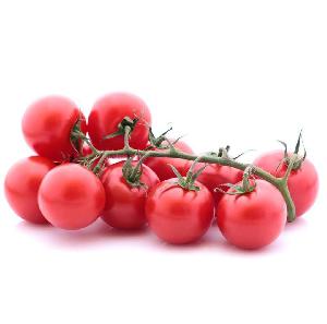 2020 hot sale high quality fresh stock mid-maturing high yield hongxi no.2 tomato seeds