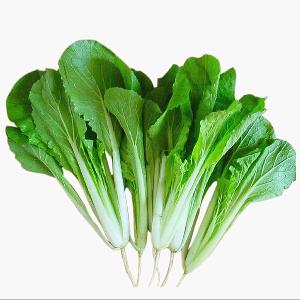 100 Grain Top Quality High Yield Chinese White Cabbage Seeds for Open Field Planting