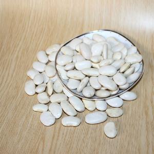 Best selling white kidney beans  Bulk dried white kidney beans  Kidney beans