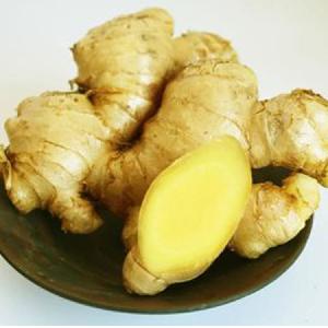 Ginger price  Market price with ginger  Top quality ginger