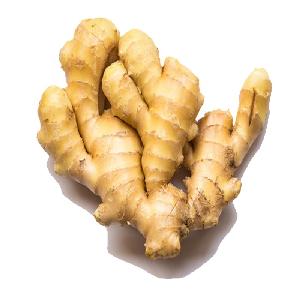 Wholesale organic  chinese   fresh  ginger price