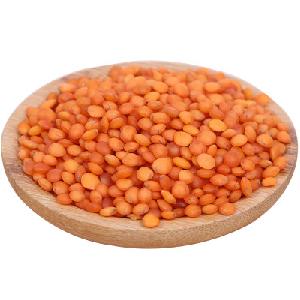Green lentils in Russia  Dried lentils  Red lentils price