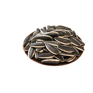 New crop raw sunflower seed 601  Dried style sunflower seeds  Big size 363 sunflower seeds