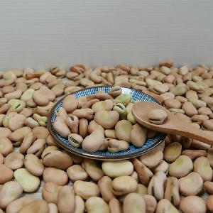 Dried broad beans with low price