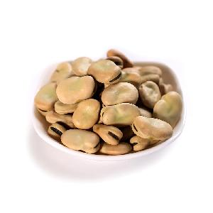 Export high quality bulk dry broad beans with Competitive price