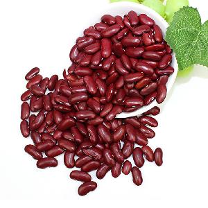 China nice price british red kidney beans for import